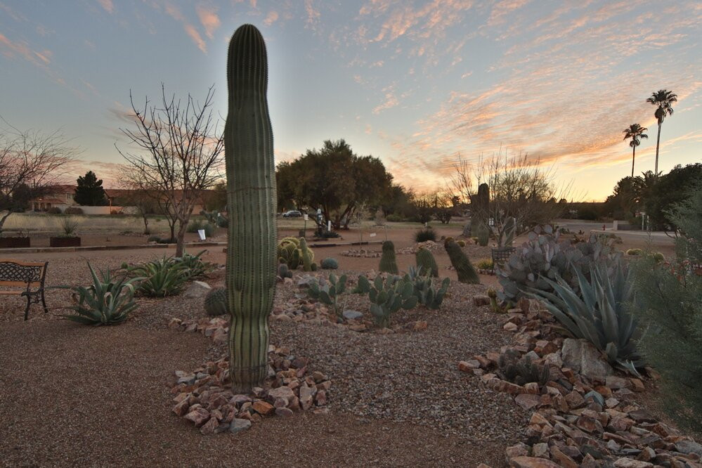 Desert Meadows Park-Green Valley必去景点