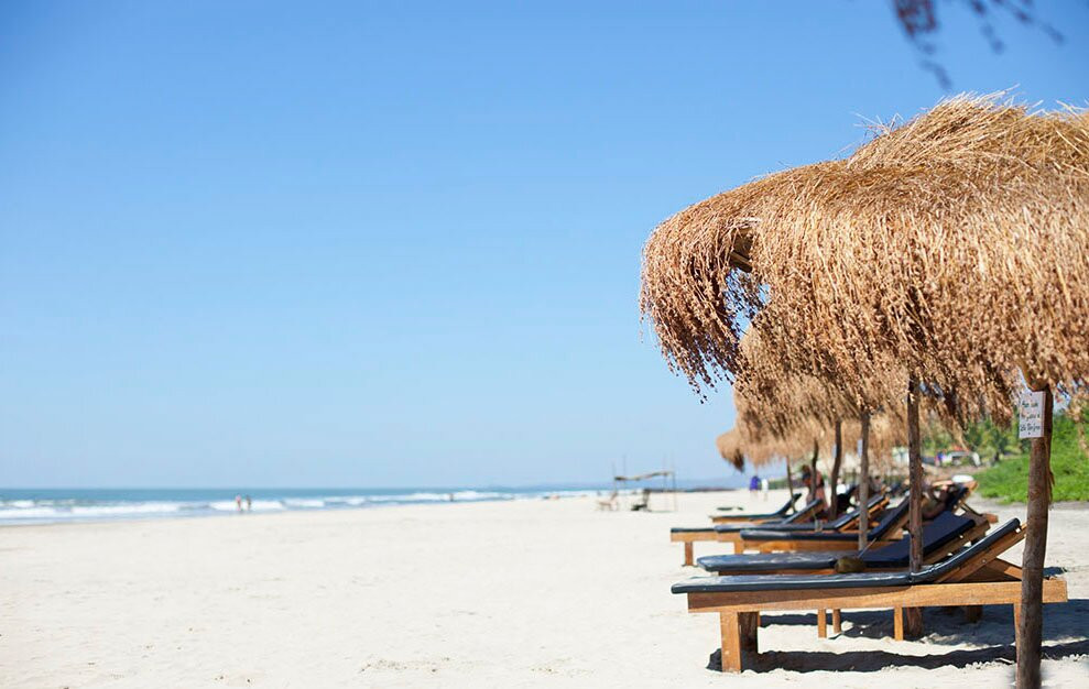 Ashvem Beach酒店住宿-Palm Grove Beach Resort