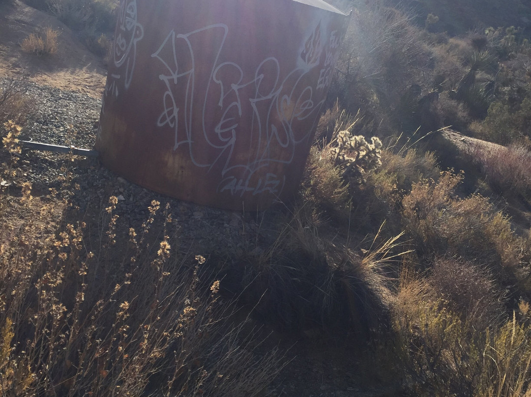 Ryan Ranch Homestead Site-约书亚树国家公园必去景点