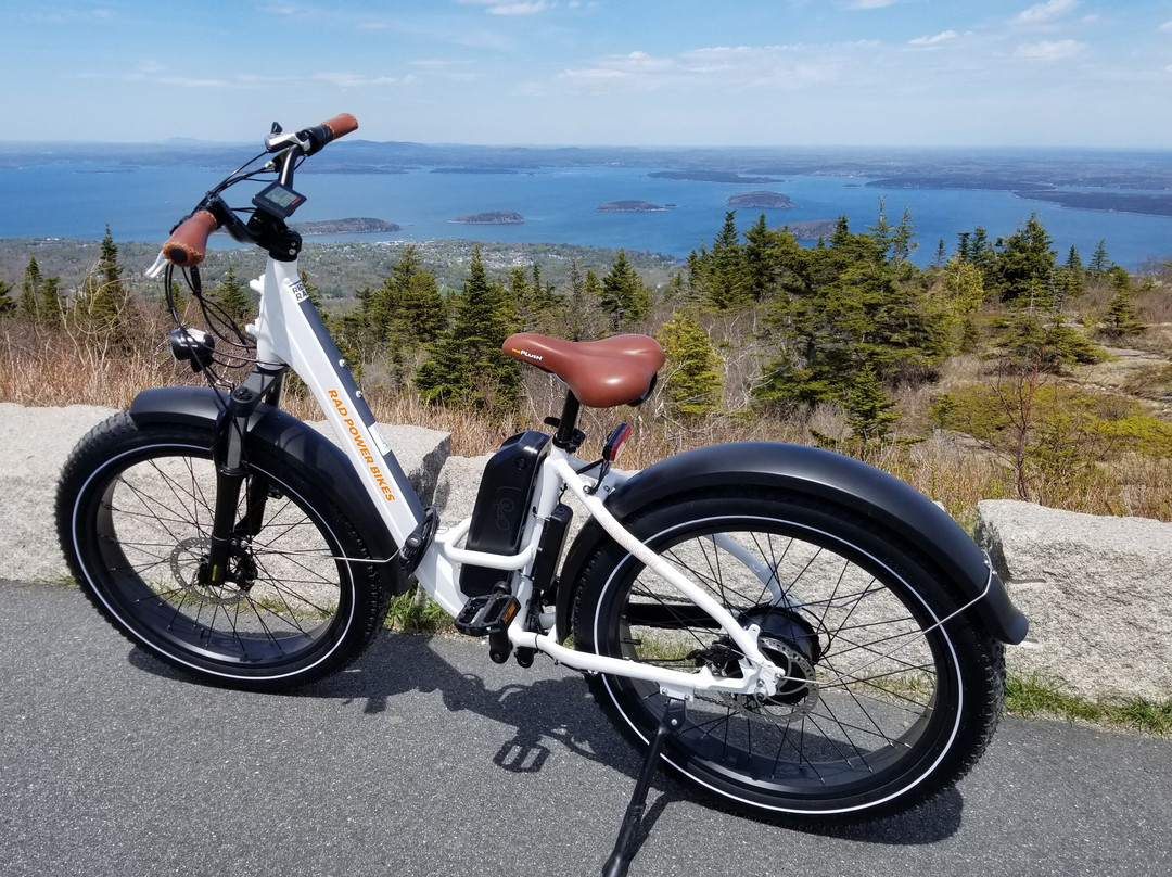 Island Time e-bike tours and rentals景点图片