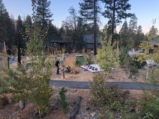 塞米蒂拉什溪山林小屋主图