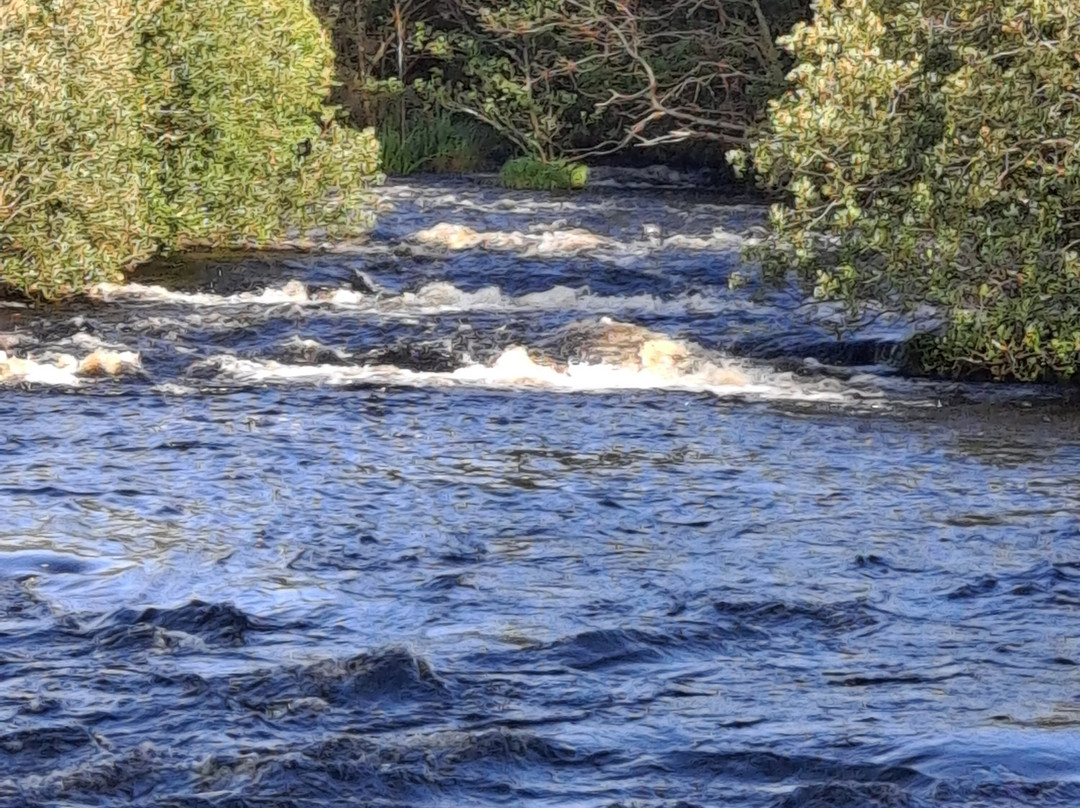 The Drowes Salmon Fishery景点图片