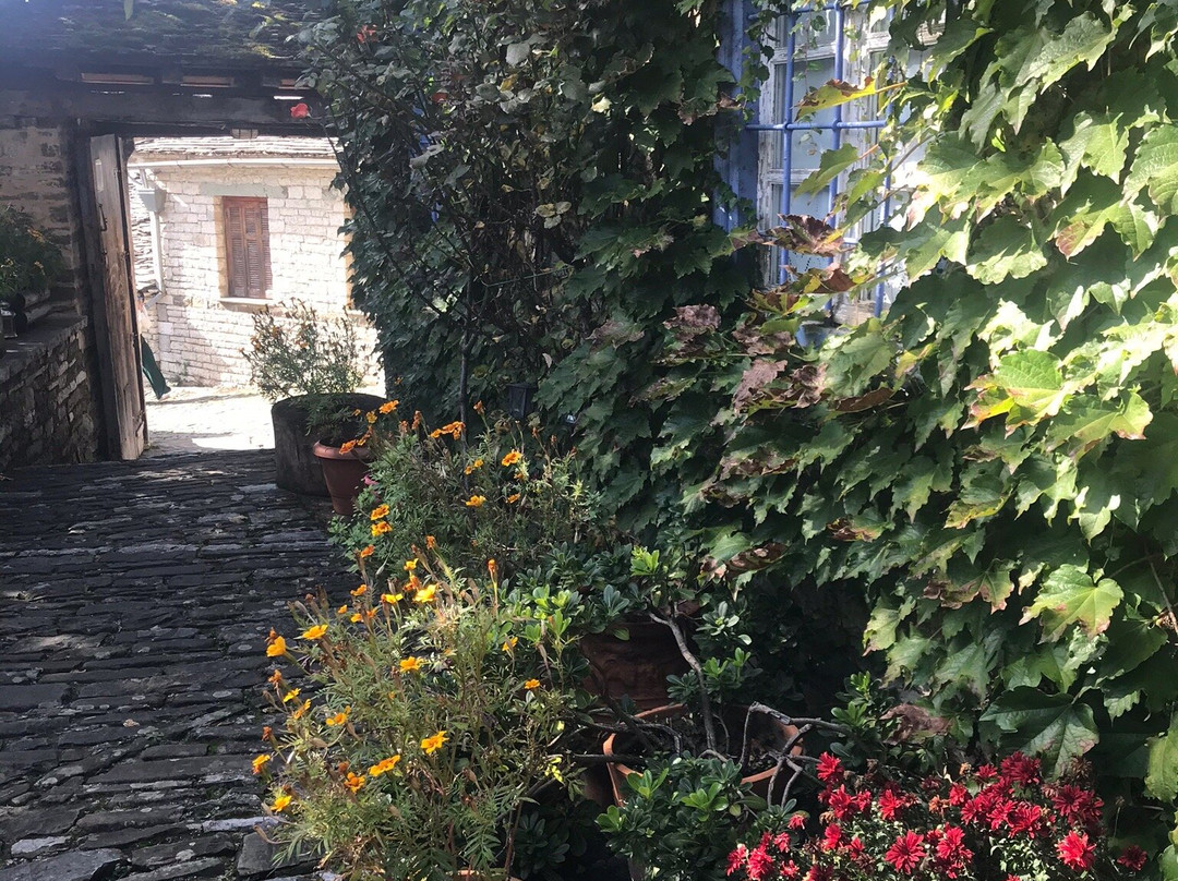 Saxonis Houses主图