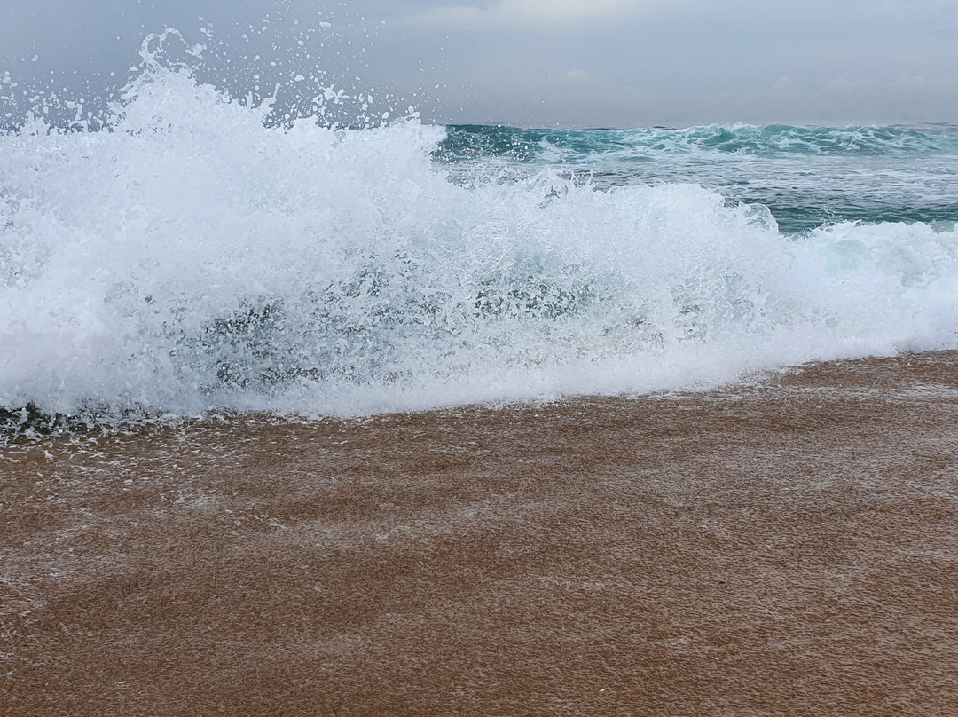 Rama Krishna Beach景点图片