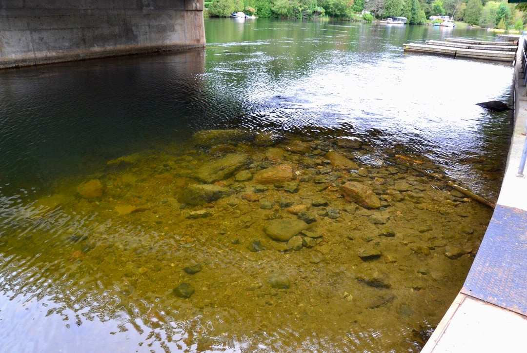 Baysville Riverfront-Baysville必去景点