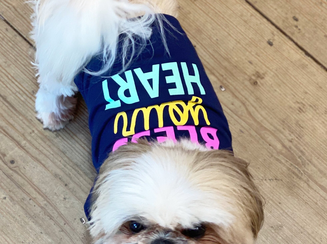 Bless your heart-圣安东尼奥市必去景点