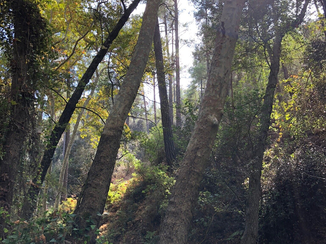 Mesa Potamos Waterfalls-帕拉翠斯必去景点