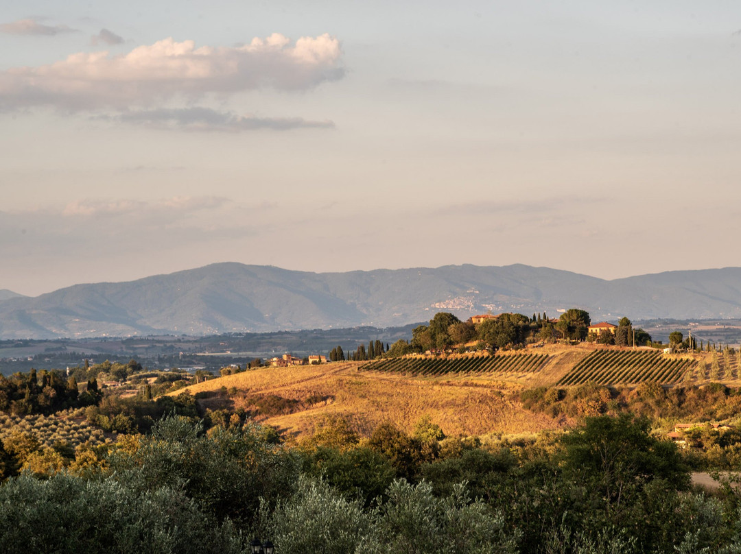 Poggio Paradiso Resort & Spa主图