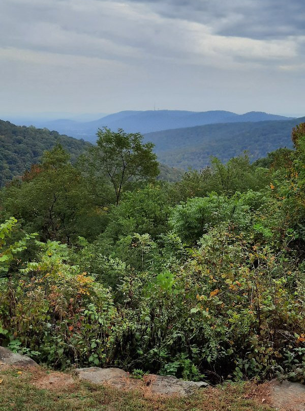 Monte Sano State Park-亨茨维尔必去景点