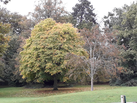 Holywells Park-伊普斯威奇必去景点