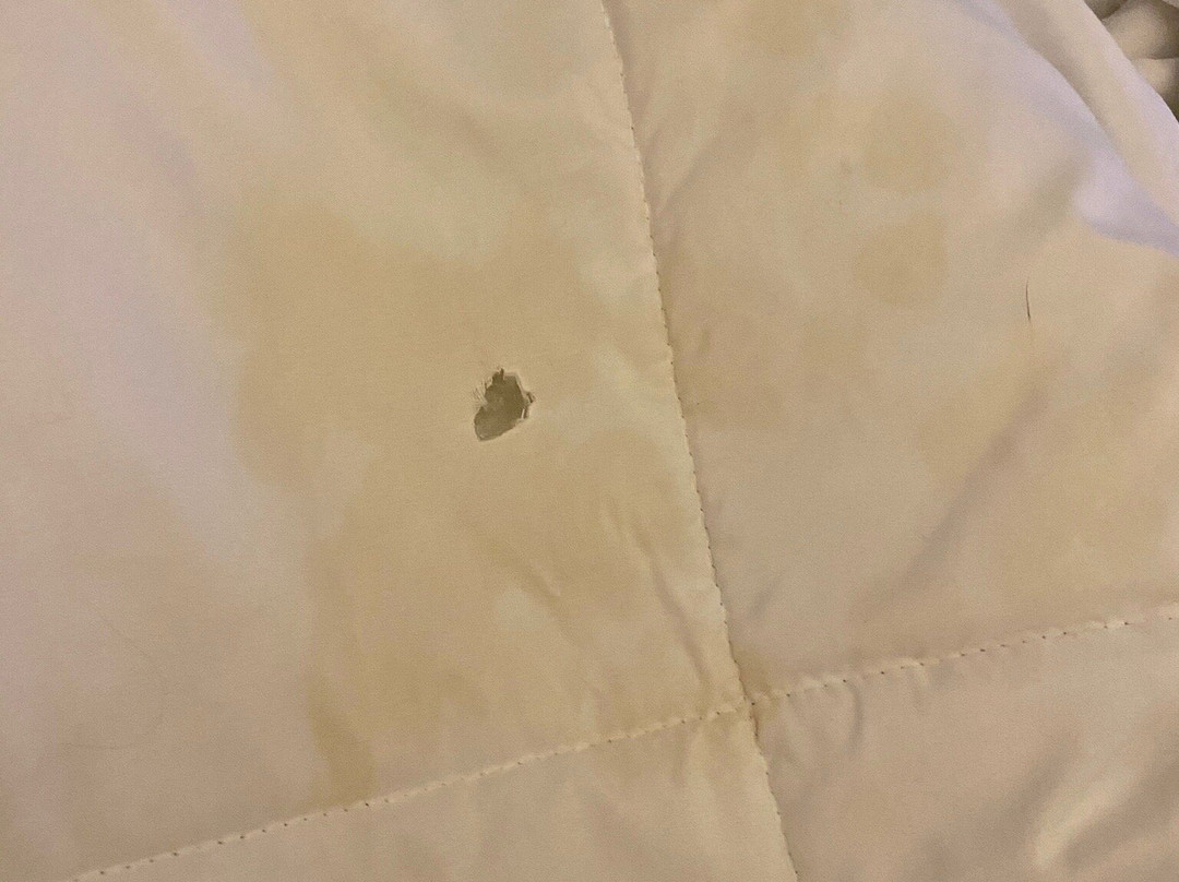 Lewis River Inn主图