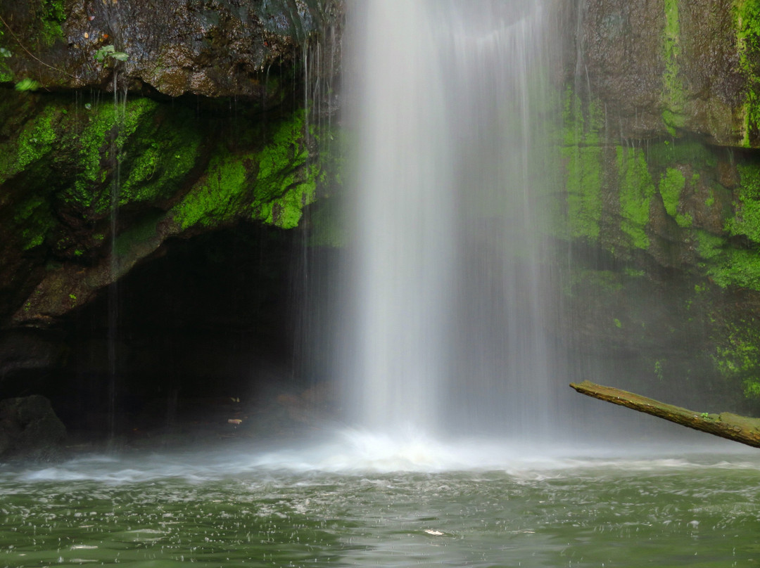 Cascata del Picchio景点图片