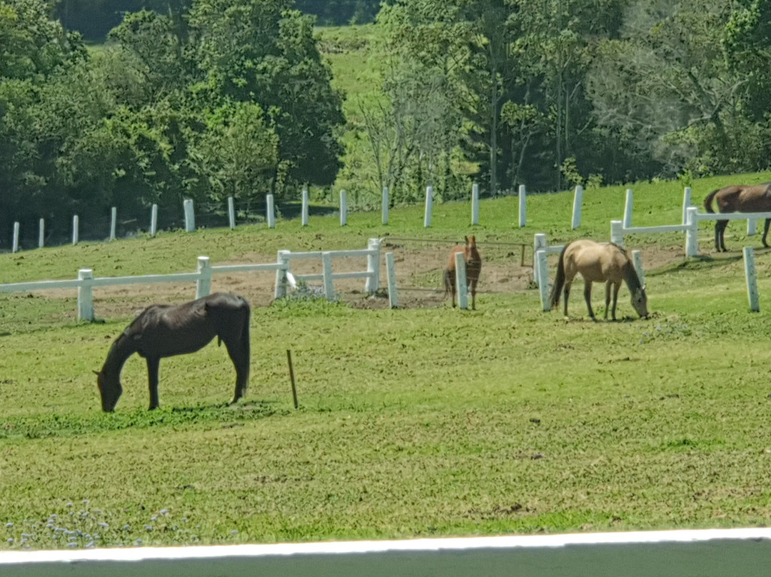 Valery Trails & Horse Riding Centre景点图片