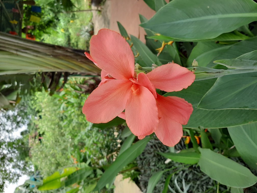 Pu Xai Lai Leng-Nghe An Province必去景点