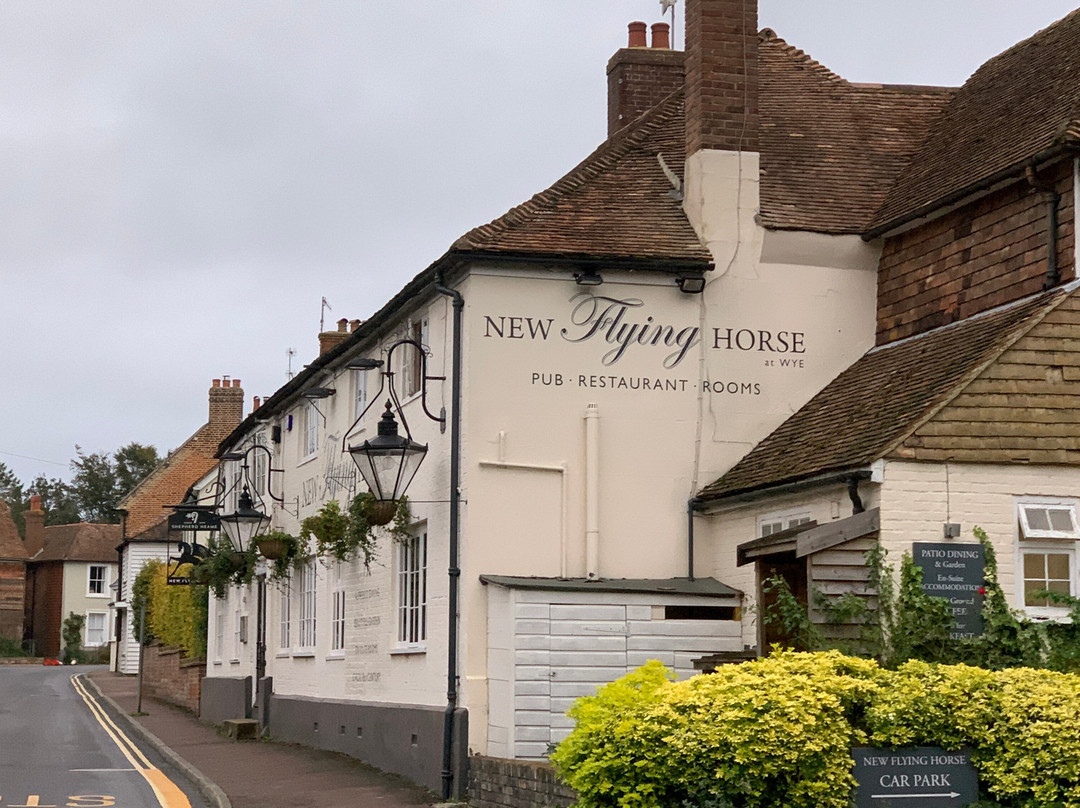 The New Flying Horse Inn主图