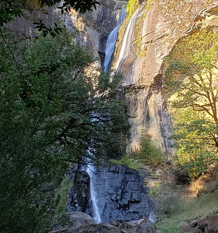 Golden and Silver Falls State Natural Area景点图片