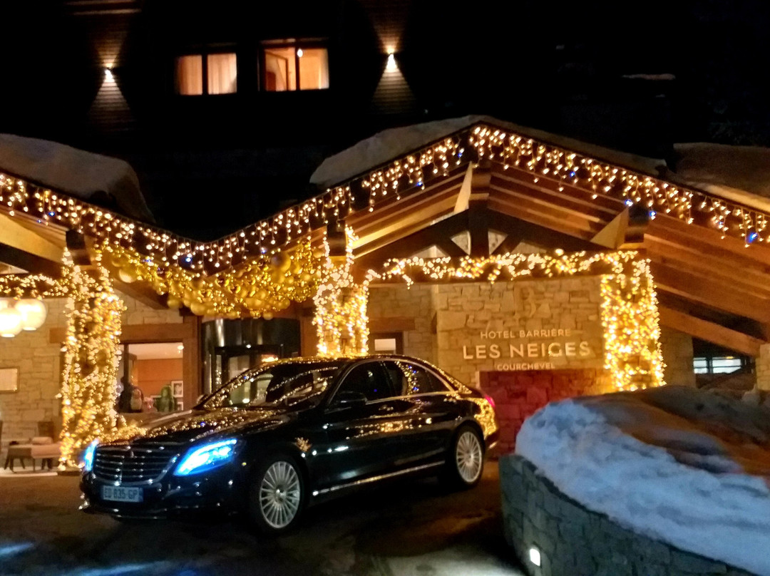 ABIS ALPES Chauffeur景点图片