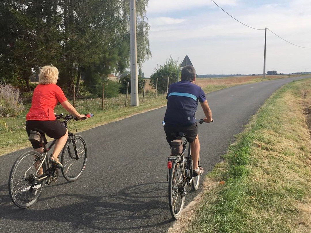 Loire Life Cycling Holidays景点图片