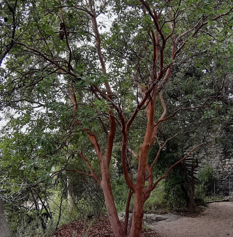 Parc St Bernard-耶尔必去景点