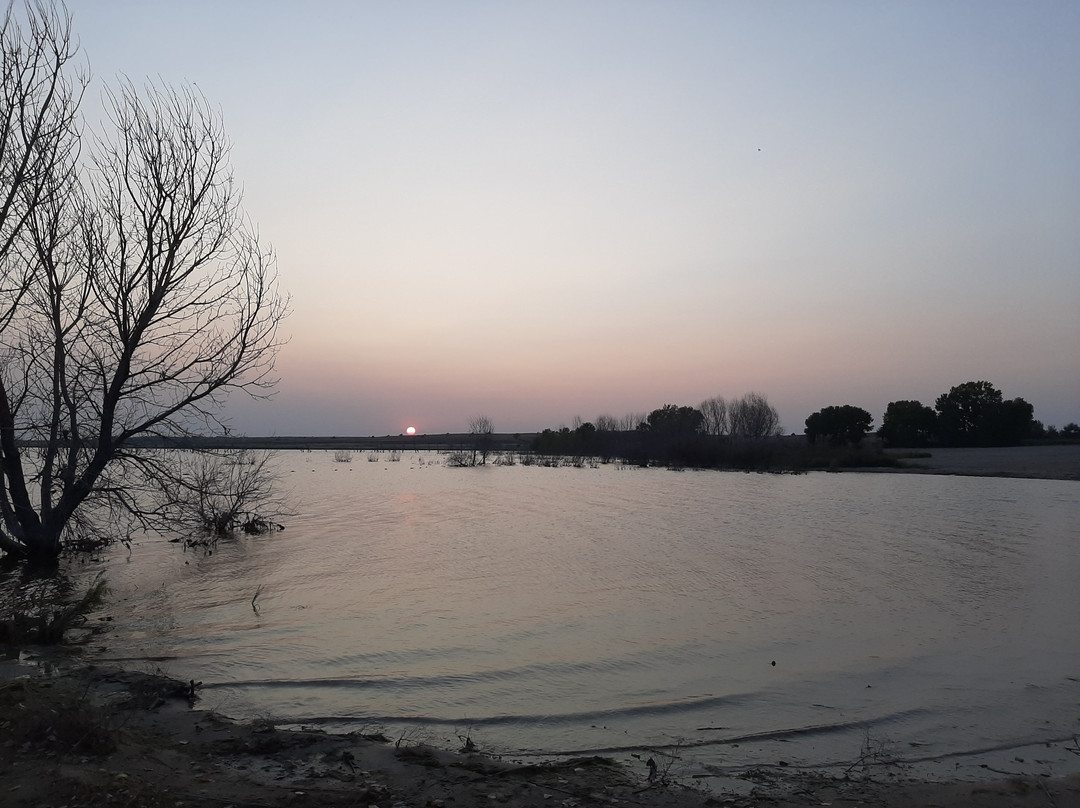 Cedar Bluff State Park-Ellis必去景点