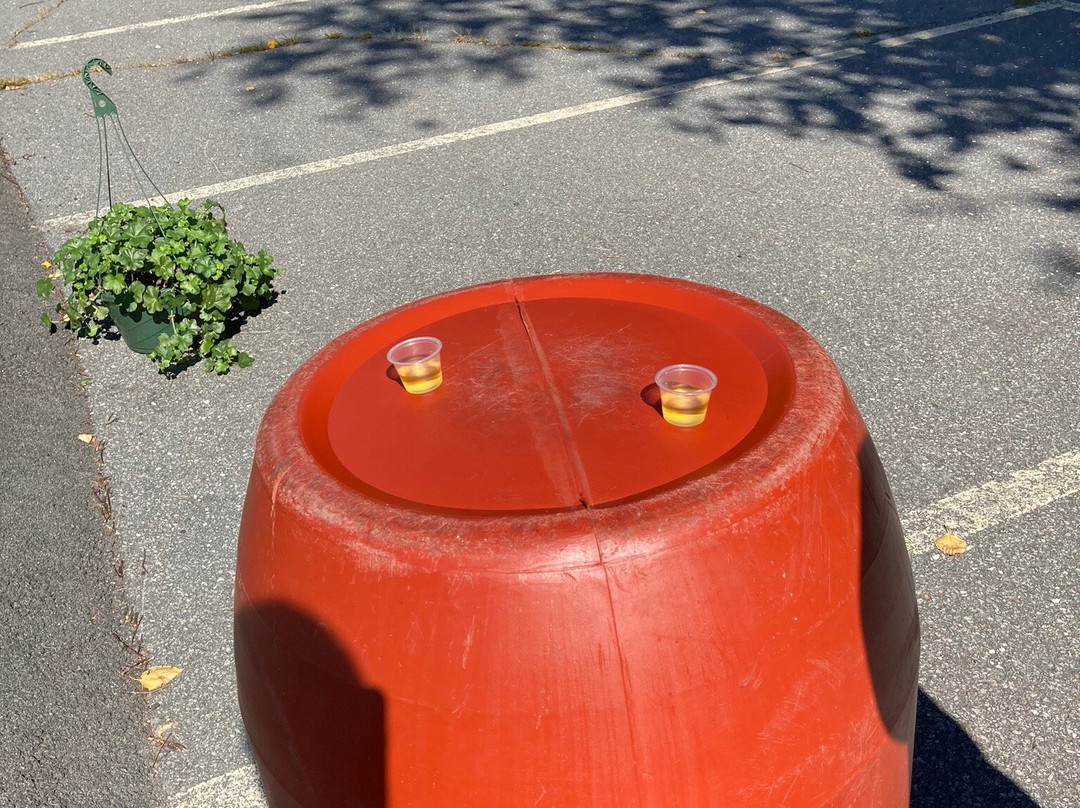 Putney Mountain Winery and Spirits-普特尼必去景点