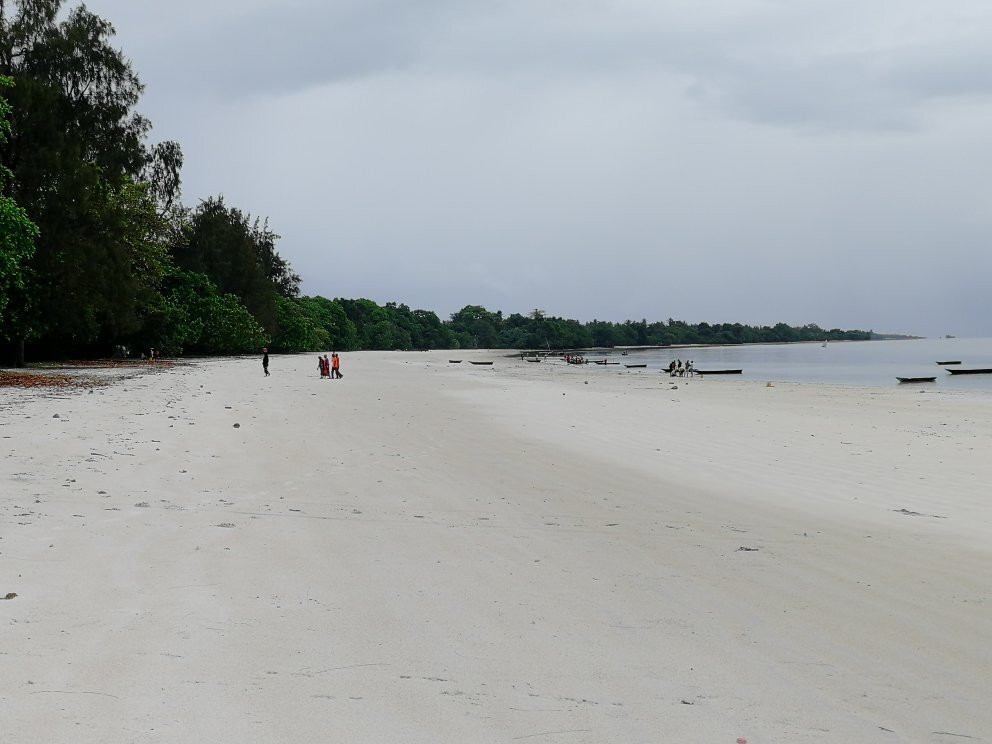 Vumawimbi Beach-奔巴岛必去景点