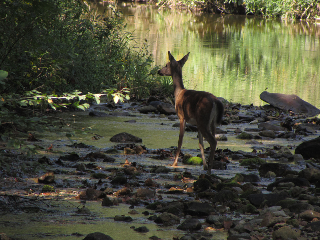 Rush Historic District-Yellville必去景点