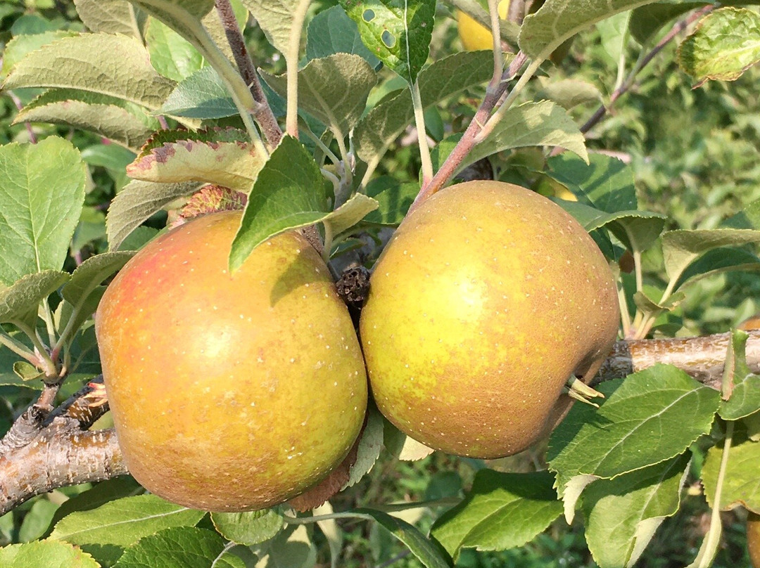 Phillipston旅游攻略图片