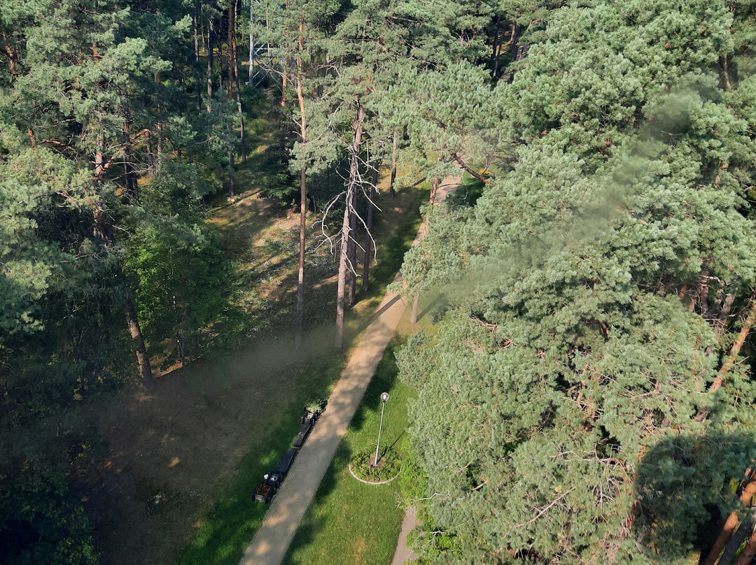 Lynu Kelias Cable Car-德鲁斯基宁凯必去景点
