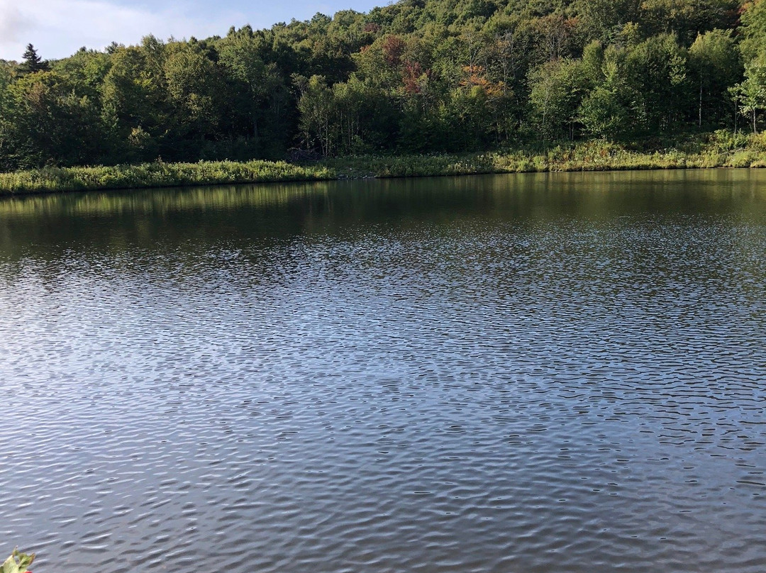 Mount Snow Resort-Dover必去景点