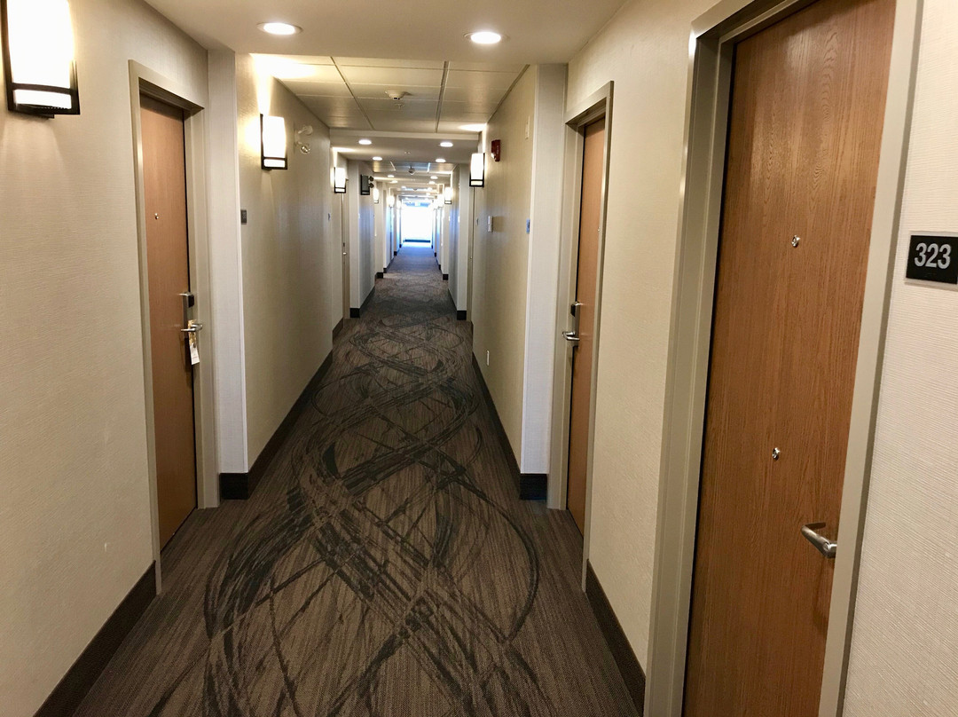 Canalta Kindersley主图