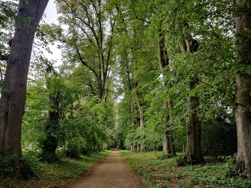 Wychwood Wild Garden景点图片