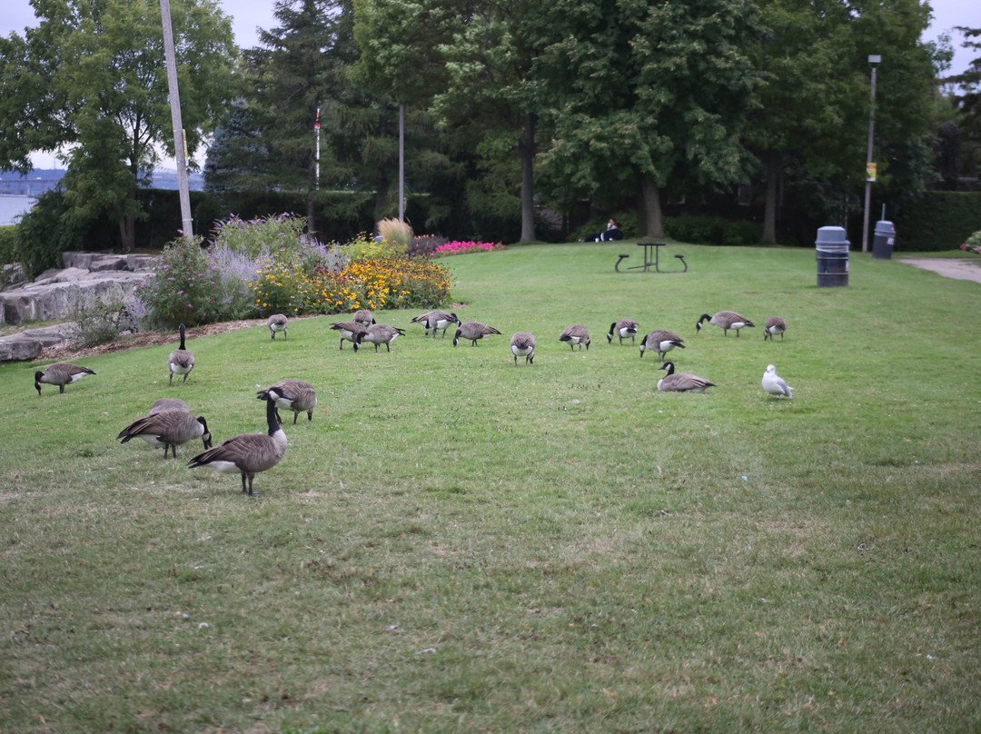 Burlington Waterfront Trail-伯灵顿必去景点