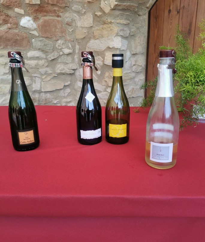 Celler Carles Andreu-Pira必去景点