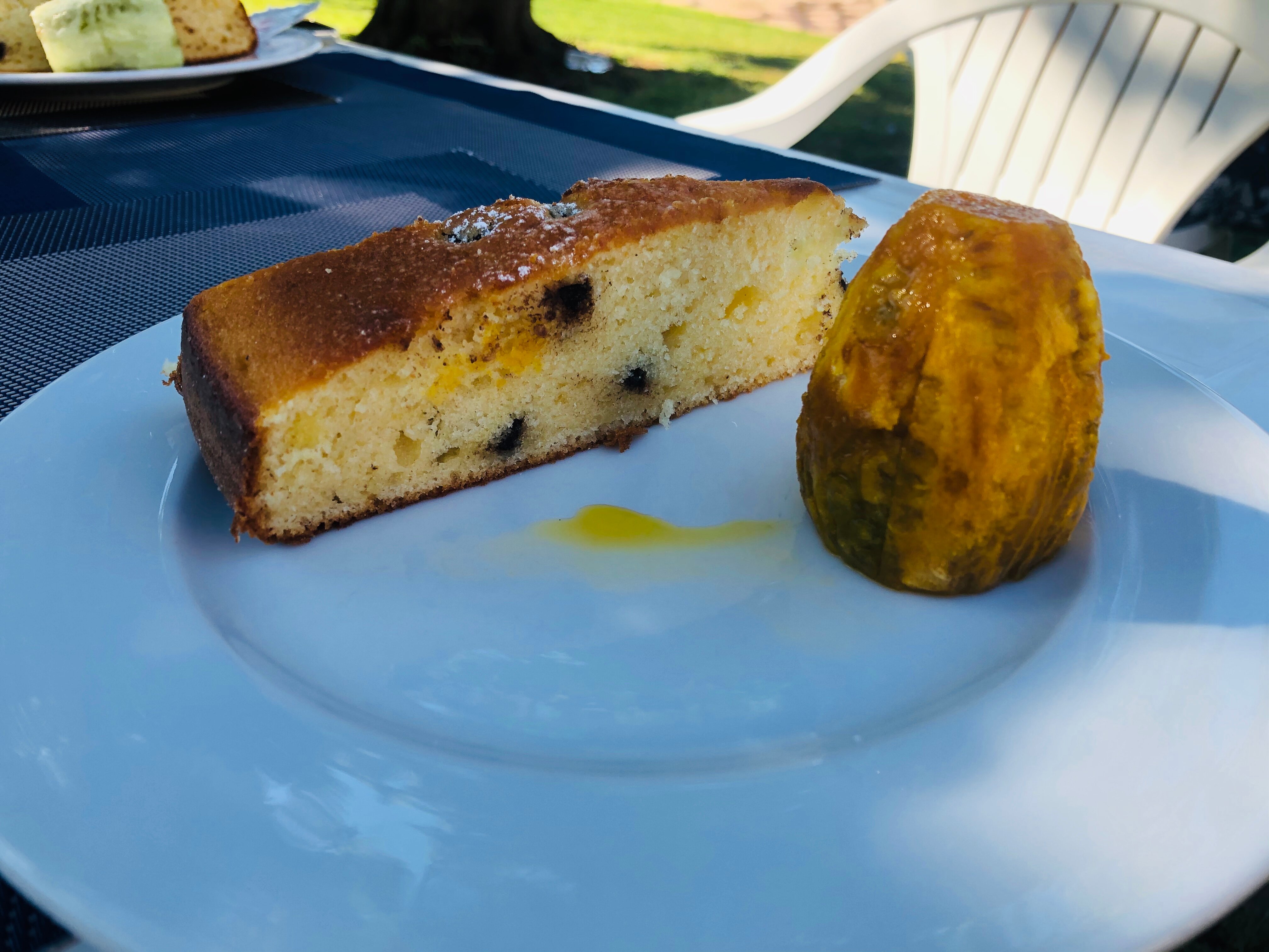 Mothuq Garden - House-官方