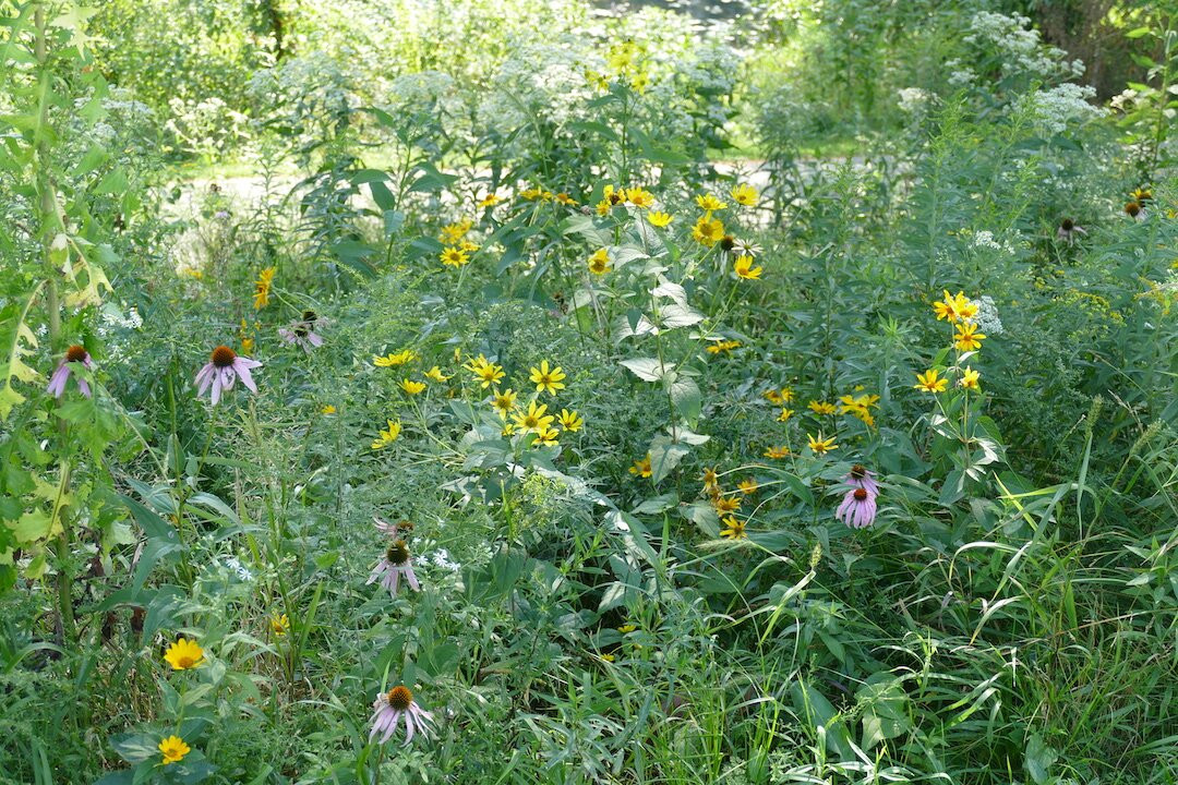 Claridon Woodlands-Chardon必去景点