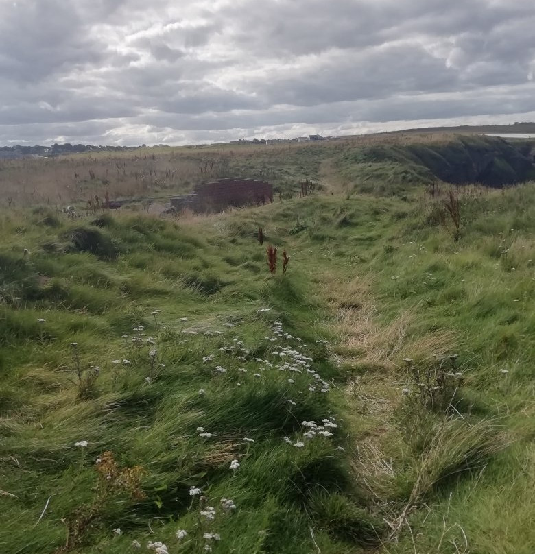Eyemouth Fort-Eyemouth必去景点