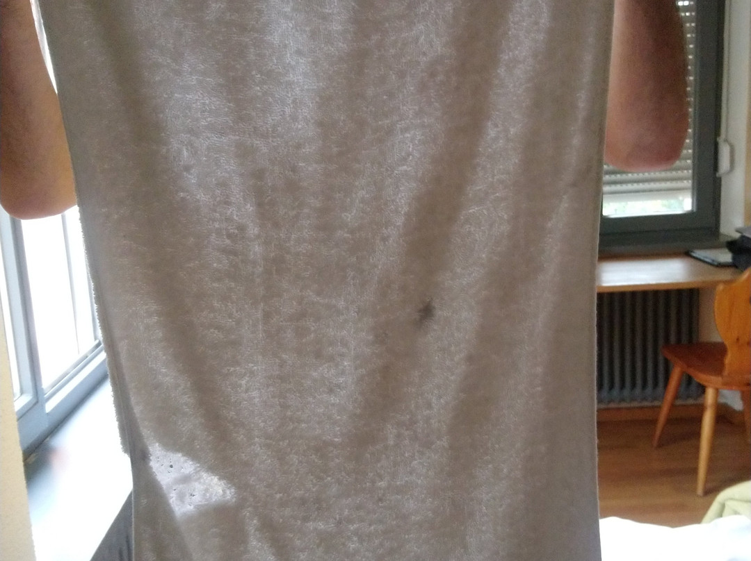 Hotel & Restaurant Grüner Baum主图