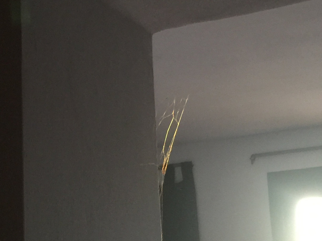 L'Oasi Agriturismo di Marchiani Puzio Carlo主图