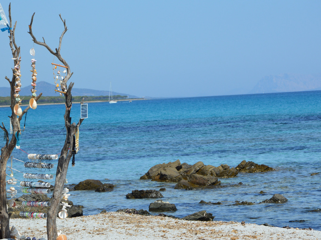 S'Ena e Sa Chitta酒店住宿-Cavalli di S'Arcaite