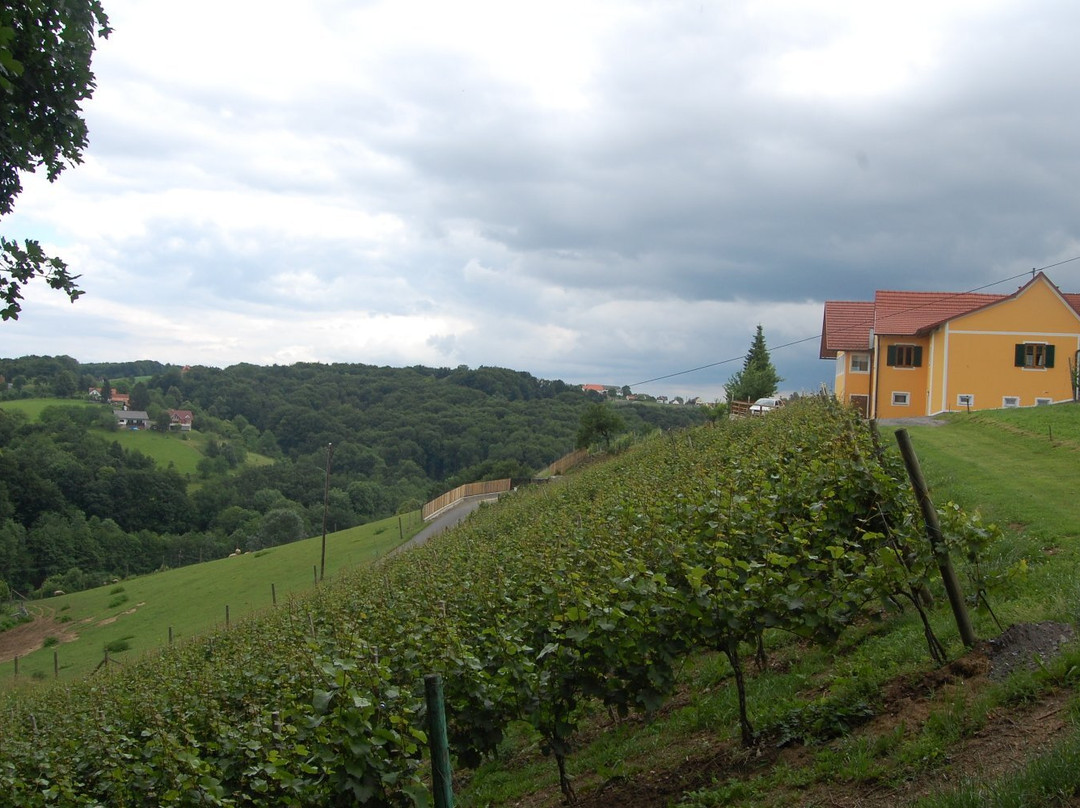 Weingut & Buschenschank Hütter景点图片