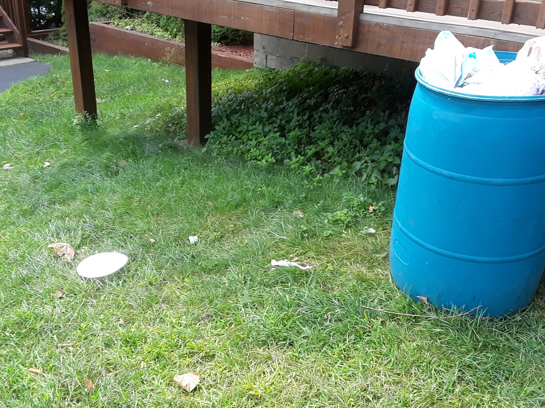 Contessa Resort主图