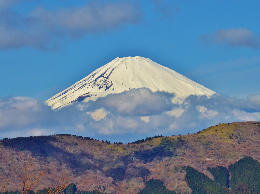 绿色广场酒店主图