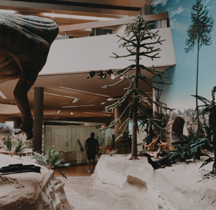 Naturkunde Museum Stuttgart-斯图加特必去景点