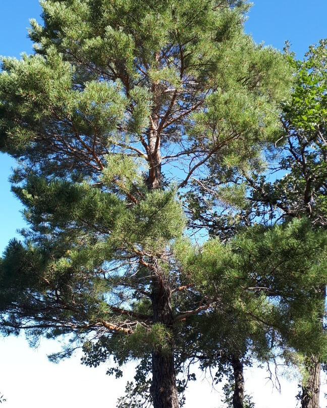 Erin Park-Killarney必去景点