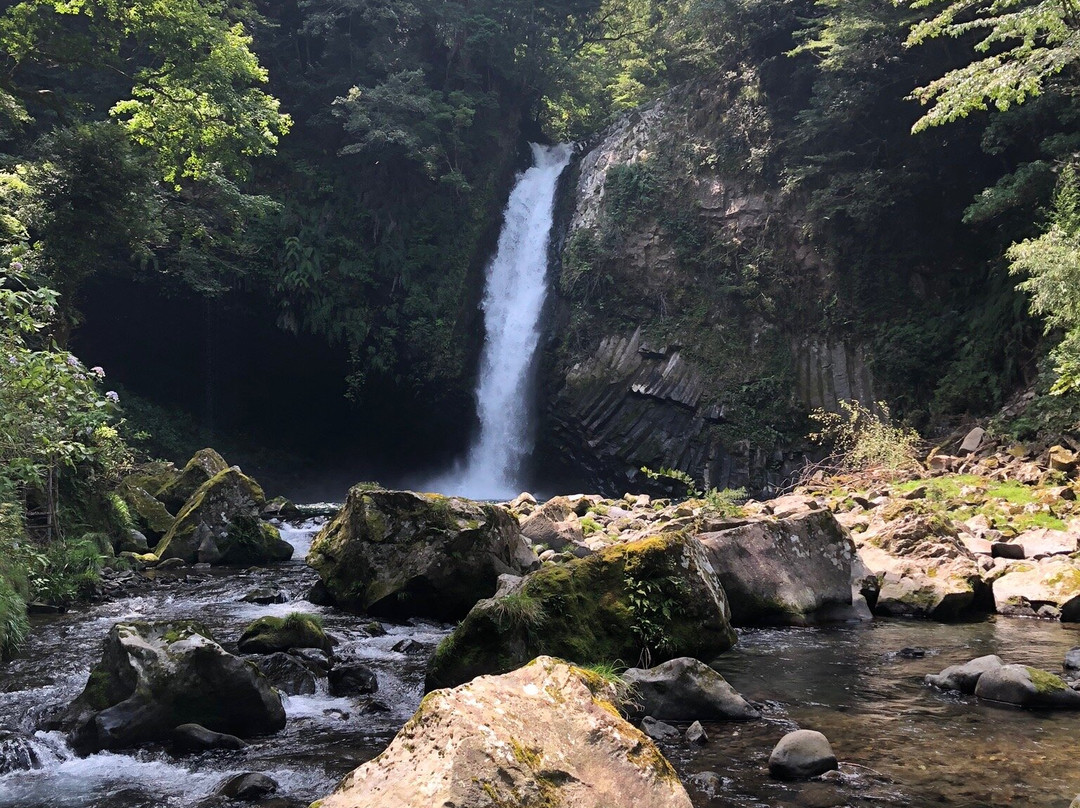 Amagi International Trout Fishing Site-伊豆市必去景点