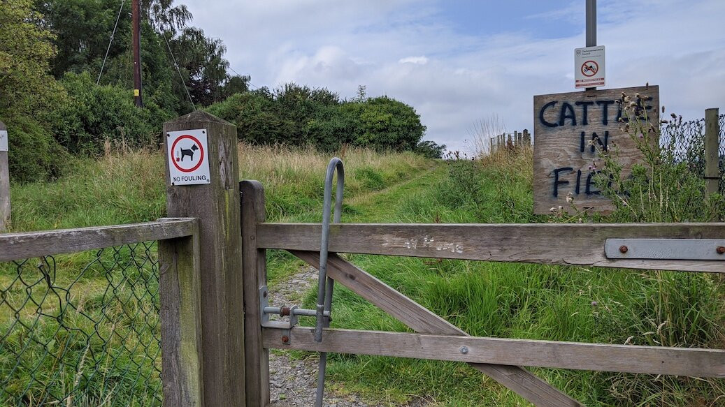 Clackmannan Tower景点图片