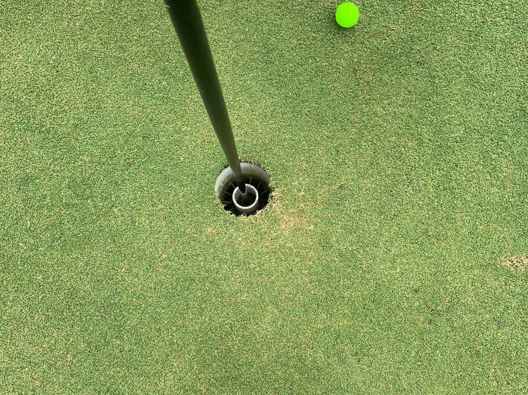 DeGray Lake Resort State Park-Bismarck必去景点