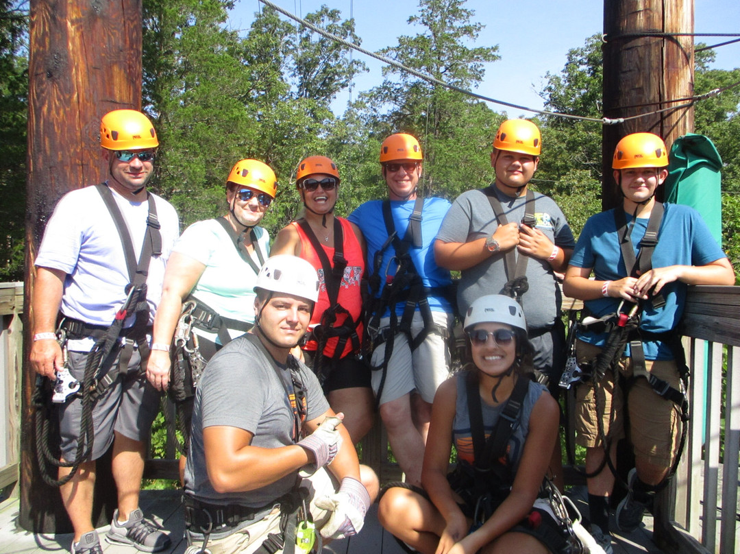 Branson Zipline at Wolfe Mountain景点图片