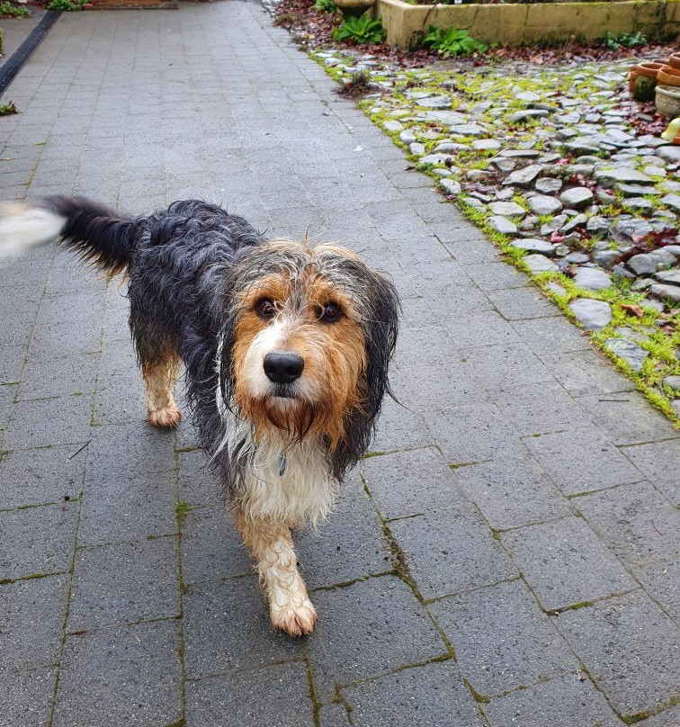 Old Wesleydale Heritage Accomodation主图